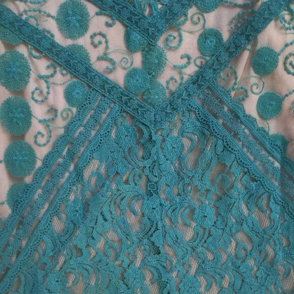 Anthro Champagne and Strawberry Lace Dress Floral Blue Shift Summer Size S - Picture 8 of 9